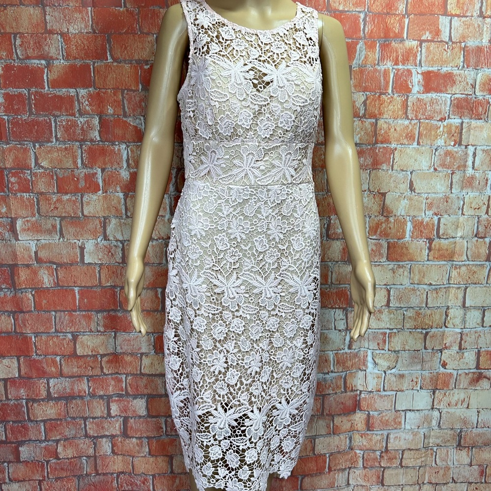 Bisou‎ Bisou Blush Pink Lace Illusion Sheath Dress